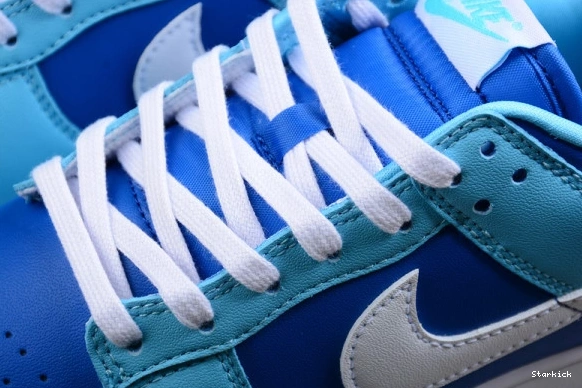 Nike Argon Low DM0121-400 (2022) QS Dunk Retro 0906